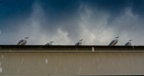 Hailstorm At The Gold Coast